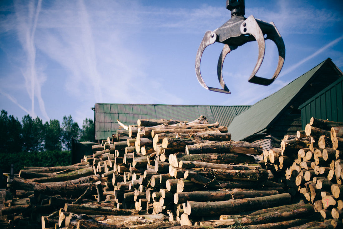 From Disaster to Rapid Growth led by a New Management Team